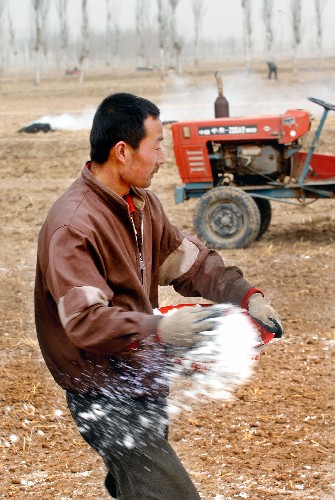 3月10日,永寧縣李俊鎮(zhèn)一位村民在地里施肥。 新華社記者 李紫恒 攝