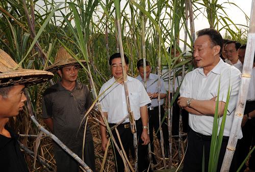 這是10月19日,吳邦國在柳州柳江縣里雍鎮(zhèn)廣實村巖沖屯甘蔗地里與蔗農(nóng)交談。新華社記者 黃敬文 攝