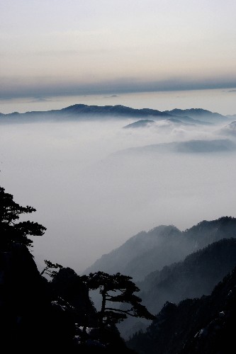 2月8日,黃山群峰在云??~緲中若隱若現(xiàn)。新華社發(fā)(潘成 攝)
