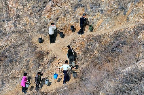 河南省嵩縣何村鄉(xiāng)楊嶺村的村民們挑水上山(2月11日攝)。 隨著河南各地抗旱成效的不斷顯現(xiàn),以及近期三次降水過(guò)程的有利影響,持續(xù)了100多天的特大旱情已經(jīng)明顯緩解,河南力爭(zhēng)今年夏糧達(dá)到600億斤以上的計(jì)劃正在穩(wěn)步實(shí)施。 新華社記者王頌攝