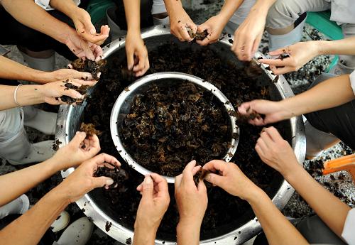 7月23日,青川縣川珍實業(yè)有限公司的工人正在手工揀木耳。四川省青川縣山清水秀,環(huán)境優(yōu)美,盛產各類山珍,當地政府依托這一獨特的優(yōu)勢,鼓勵和支持農民、企業(yè)積極發(fā)展山珍產業(yè),增收致富。目前,全縣每年僅優(yōu)質黑木耳、各類蘑菇的產量就達1萬多噸。一些山珍產品企業(yè)通過與大學和科研單位的合作,在山珍的精深加工上下足功夫,進一步提高山珍的附加值,并帶動了當地農民就業(yè)增收。新華社記者陳燮攝