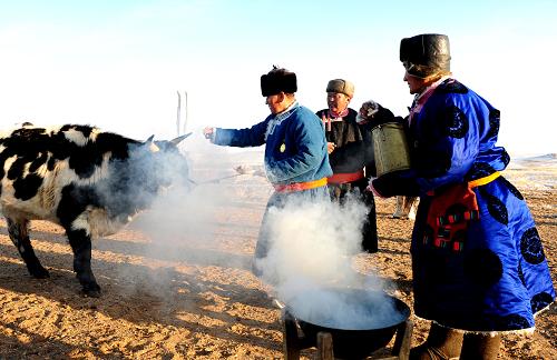 2月13日,幾位蒙古族群眾正在為牛過(guò)年。 日前,記者來(lái)到內(nèi)蒙古蘇尼特左旗邊境草原的阿日戈壁陶木伊拉拉圖嘎查,與幾戶蒙古族家庭一起過(guò)春節(jié),體驗(yàn)蒙古族傳統(tǒng)的過(guò)年習(xí)俗。 在除夕和大年初一這兩天,蒙古族群眾會(huì)穿上傳統(tǒng)的蒙古袍,煮好手把肉、蒸上包子,為五畜(山羊、綿羊、牛、馬、駱駝)過(guò)年;祭火、祭天,并手捧哈達(dá)相互拜年;親朋好友們圍坐在蒙古包里一起品嘗美食美酒,以蒙古族的傳統(tǒng)方式度過(guò)新春佳節(jié)。 民俗專家介紹說(shuō),在農(nóng)歷正月初一與漢族一起歡度春節(jié)的有滿族、蒙古族、朝鮮族、達(dá)斡爾族、鄂溫克族、回族、東鄉(xiāng)族、壯族、赫哲族、白族、畬族等少數(shù)民族。 新華社記者 任軍川攝