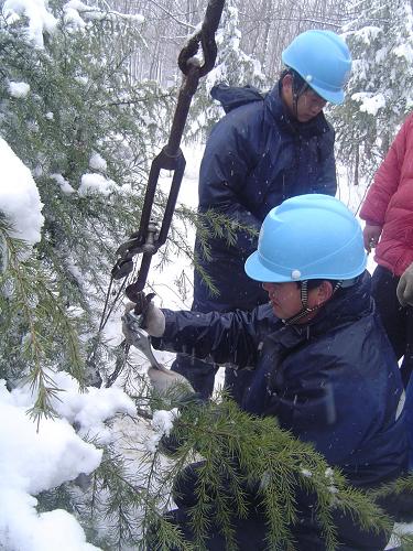 2月14日,安徽全椒縣供電公司的搶修隊員冒著風(fēng)雪修復(fù)受損拉線。 正月初一,安徽省全椒縣大雪造成當(dāng)?shù)剌旊娋€路受損,界首市1380余戶居民停電。安徽全椒供電公司立即啟動應(yīng)急預(yù)案,搶修隊員冒著風(fēng)雪趕赴現(xiàn)場,經(jīng)過兩個多小時的搶修恢復(fù)了供電。 新華社發(fā)(宋衛(wèi)星 攝)