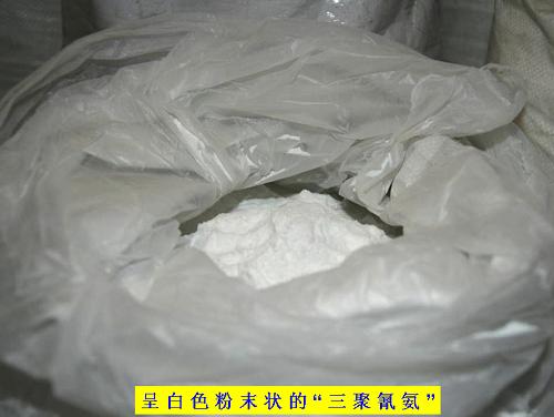 這是在犯罪嫌疑人的擠奶廳查獲的呈白色粉末狀的“三聚氰氨”。新華社發(fā)