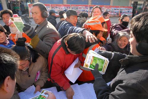 1月13日,淮南市農(nóng)科所技術(shù)人員向群眾免費發(fā)放蔬菜良種。新華社發(fā)(陳彬 攝)