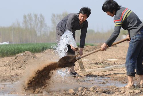 4月9日,河南省中牟縣三官廟鄉(xiāng)農(nóng)民姬喜法(左)正在田間澆地。新華社記者 趙鵬 攝