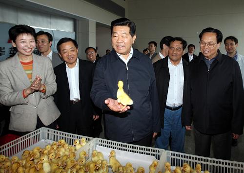 4月17日至23日,中共中央政治局常委、全國政協(xié)主席賈慶林在河南調(diào)研。這是4月19日,賈慶林在華英禽業(yè)集團(tuán)調(diào)研。新華社記者 姚大偉 攝