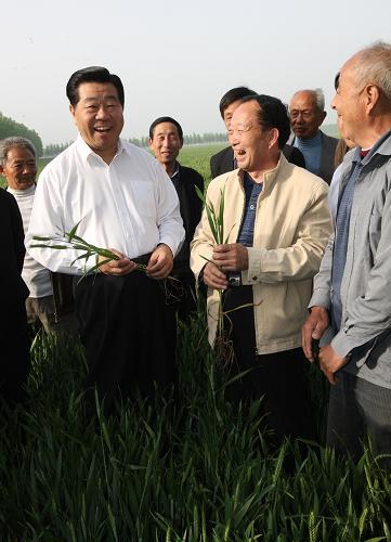 這是4月20日,賈慶林在許昌縣陳曹鄉(xiāng)察看小麥長勢。新華社記者 姚大偉 攝