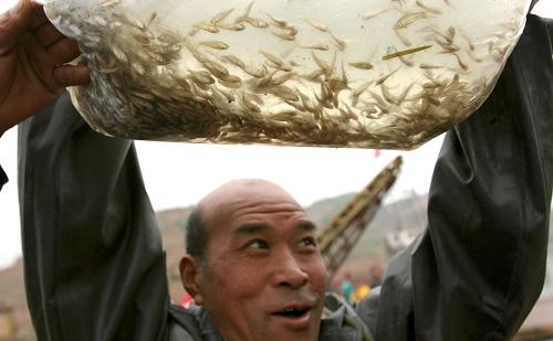 5月27日,一位漁民準(zhǔn)備將魚(yú)苗放流黃河小浪底水庫(kù)。當(dāng)日,山西省運(yùn)城市在黃河小浪底水庫(kù)垣曲段舉行漁業(yè)資源增殖放流活動(dòng),放流魚(yú)苗200多萬(wàn)尾,以保護(hù)黃河小浪底水庫(kù)的生物資源和生態(tài)環(huán)境。新華社發(fā)(薛俊 攝)