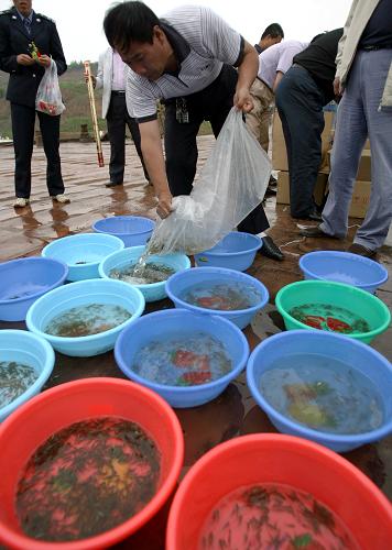5月27日,一名漁政部門(mén)工作人員進(jìn)行魚(yú)苗放流前的準(zhǔn)備工作。新華社發(fā)(薛俊 攝)