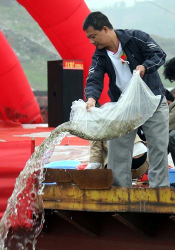 5月27日,一名漁政部門(mén)工作人員在黃河小浪底水庫(kù)垣曲段放流魚(yú)苗。新華社發(fā)(薛俊 攝)