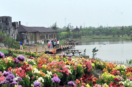 6月9日,游客在海峽兩岸(昆山)農(nóng)業(yè)合作試驗區(qū)示范點星期九休閑生態(tài)農(nóng)莊觀光。當日,海峽兩岸(昆山)農(nóng)業(yè)合作試驗區(qū)示范點開幕典禮暨昆山星期九農(nóng)莊開園嘉年華在陽澄湖畔的巴城鎮(zhèn)舉行??偼顿Y1.5億、歷時四年建成的星期九休閑生態(tài)農(nóng)莊占地700余畝,在花卉園藝、農(nóng)業(yè)生物科技、水產(chǎn)養(yǎng)殖、農(nóng)產(chǎn)品深加工、農(nóng)業(yè)物流、農(nóng)業(yè)科技展示和觀光旅游等方面為海峽兩岸農(nóng)業(yè)交流與合作建立了特色鮮明的現(xiàn)代觀光農(nóng)業(yè)先行區(qū)。新華社記者 陳琪 攝