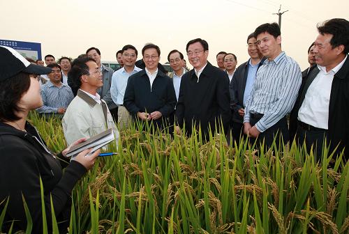 10月11日至15日,中共中央政治局常委、中央紀(jì)委書記賀國(guó)強(qiáng)在上??疾臁_@是10月13日,在上海崇明現(xiàn)代農(nóng)業(yè)基地,賀國(guó)強(qiáng)與正在測(cè)查水稻產(chǎn)量的大學(xué)畢業(yè)生交談。新華社記者 龐興雷 攝