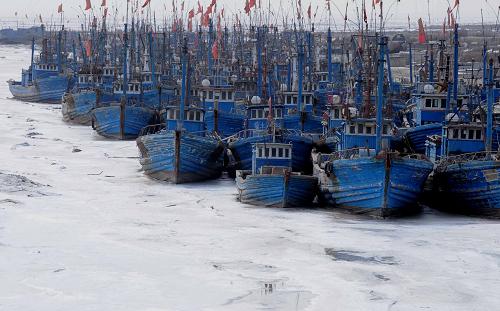 1月28日,天津地區(qū)海冰冰情已有所緩解。新華社記者 劉海峰 攝