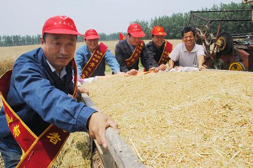 6月11日,在河南省淮陽(yáng)縣曹河鄉(xiāng)大郝行政村方營(yíng)村的麥田里,淮陽(yáng)縣電業(yè)局曹河供電所組織的青年志愿者和黨員突擊隊(duì)員幫助困難群眾和在外務(wù)工的農(nóng)民家屬搶收小麥。新華社發(fā)(楊正華 攝)