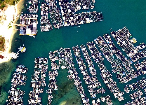 這是海南省陵水縣一海產品養(yǎng)殖基地的近岸網箱(2003年5月攝)。 海南島擁有長約1800公里的海岸線,適宜海洋養(yǎng)殖的海域面積大,近年來,當地充分利用這一資源優(yōu)勢,大力發(fā)展海洋養(yǎng)殖業(yè)。目前,海南海洋養(yǎng)殖已經從過去的岸上高位池養(yǎng)殖、灘涂和淺海網箱養(yǎng)殖向深海養(yǎng)殖發(fā)展,鮑魚、石斑魚、牡蠣、對蝦等珍貴海產品養(yǎng)殖發(fā)展迅速。2007年,海南水產品總產量達183萬噸,出口10.5萬噸。 新華社記者姜恩宇攝