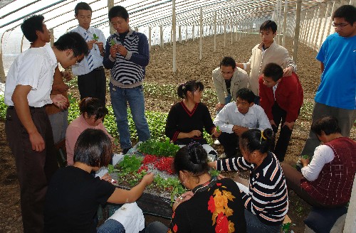 “曙光成長”助力大學(xué)生村官 10月30日,大學(xué)生村官們?cè)诖笈飪?nèi)向?qū)I(yè)戶學(xué)習(xí)。 日前,山東滕州市西崗鎮(zhèn)實(shí)施“曙光成長”計(jì)劃,對(duì)10名新參加工作的大學(xué)生村官采取鎮(zhèn)領(lǐng)導(dǎo)干部聯(lián)系、部門負(fù)責(zé)人幫扶、村居干部幫教的“3+1”幫帶工作機(jī)制,讓大學(xué)生村官迅速了解農(nóng)村、熟悉農(nóng)村工作方法,為職業(yè)生涯奠定堅(jiān)實(shí)基礎(chǔ)。 新華社記者 朱崢 攝