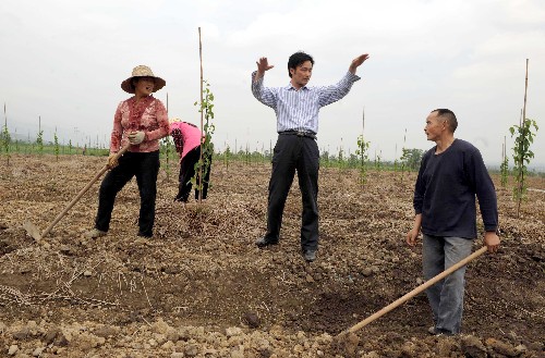 江蘇:為災區(qū)播下高效農業(yè)的種子 4月23日,江蘇丘陵地區(qū)鎮(zhèn)江農業(yè)科學研究所研究中心主任劉照亭副研究員(中)正在給綿竹市農民講解梨樹的管理技術。 為了提高地震災區(qū)四川省綿竹市農業(yè)技術水平,對口援建的江蘇省投資2150萬元,在綿竹成立了高效農業(yè)示范園。示范園核心示范面積300畝,示范面積5000畝,將輻射50000畝農田。該示范園引進了各類優(yōu)質的水果、蔬菜品種,江蘇援建者按照“做給農民看,帶著農民干,幫助農民銷,促進農民賺”的路子,帶領災區(qū)農民增收致富。 新華社記者陳燮攝