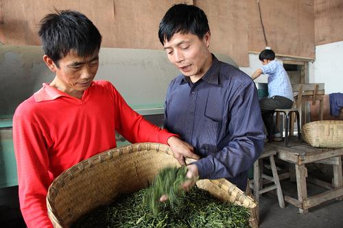 5月15日,吳德華(左二)仔細檢查剛出鍋的新茶。 十幾年前,歙縣霞坑鎮(zhèn)石潭村農民吳德華因一次意外失去了右上肢,但他身殘志不殘,憑著堅強的意志勇于創(chuàng)業(yè),于2002年創(chuàng)辦了“茶之源”制茶廠。茶廠每年生產茶葉近700擔,年收入10余萬元。吳德華不忘牽手身邊的殘疾鄉(xiāng)親共同走上致富路。他的茶廠優(yōu)先安排殘疾人就業(yè),殘疾工人每天收入達100余元。 新華社稿(吳建平攝)
