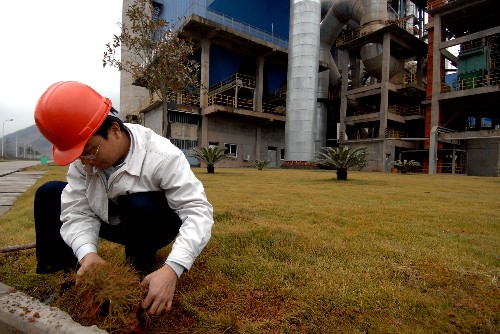 12月22日,工人在修整福建金牛水泥有限公司生產(chǎn)車間前的草地。新華社記者 張國俊攝