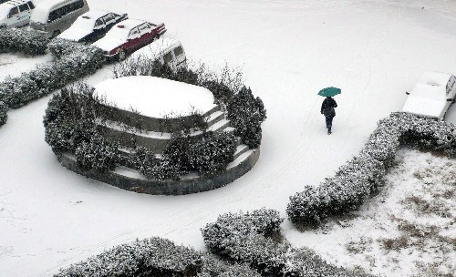 2月24日拍攝的山東莘縣雪景。當日,山東省西部部分地區(qū)降下小到中雪。 新華社發(fā)(張憲舉 攝)