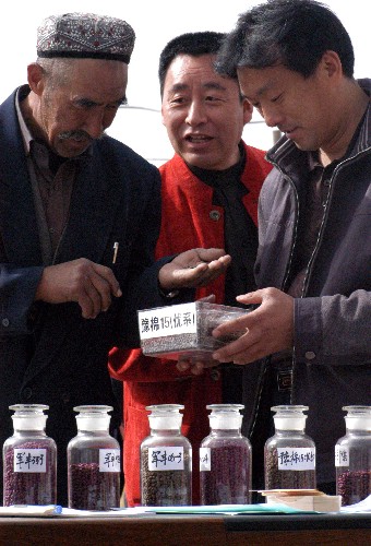 3月24日,新疆“放心農(nóng)資下鄉(xiāng)進村活動宣傳周”在庫爾勒啟動,工作人員向農(nóng)民講授如何鑒別棉種質(zhì)量。宣傳周期間,工作人員將通過錄像、圖片展覽、現(xiàn)場咨詢等多種形式,向農(nóng)民宣傳農(nóng)資安全知識,確保春耕生產(chǎn)順利進行。 新華社發(fā)(確·胡熱 攝)