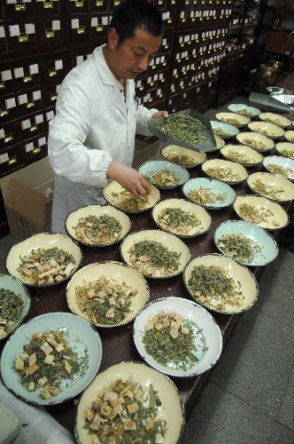 5月7日,合肥一藥店工作人員在配制手足口病預(yù)防中藥。 近日,安徽省衛(wèi)生廳公布《安徽省中醫(yī)藥防治手足口病臨床技術(shù)方案(試行)》。在試行方案中,專家提出用金銀花、蘆根、淡竹葉、生甘草組成的藥方連續(xù)煎服7至10天,對預(yù)防手足口病有益。目前,這種中藥預(yù)防藥方在合肥各大藥店十分俏銷。 新華社發(fā)(馬啟兵 攝)
