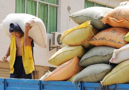 6月9日,四川省德陽(yáng)市一家糧食企業(yè)的工作人員在搬運(yùn)小麥。 目前,四川省糧食部門(mén)加緊向受災(zāi)地區(qū)調(diào)運(yùn)救災(zāi)糧食,保障受災(zāi)群眾基本生活。 新華社記者楊俊江攝