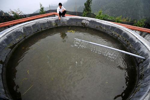 湖北省秭歸縣茅坪鎮(zhèn)長嶺村的村民在觀察建在山上的生物慢濾水處理池運行情況(9月10日攝)。有32萬農村人口的湖北省秭歸縣,農村飲水不安全人數達到74%。該縣水務局在實踐中摸索出了一種生物慢濾水處理技術,通過微生物之間的相互吞噬維持生態(tài)平衡,能有效去除水中的大腸桿菌、氨氮和重金屬等有害物質。目前,該縣利用該技術已建成26處集中供水廠,經檢測均達到了農村飲用水標準,有5處達到一類水質標準,能有效解決庫區(qū)農村人口的飲水安全問題。新華社記者 郝同前 攝