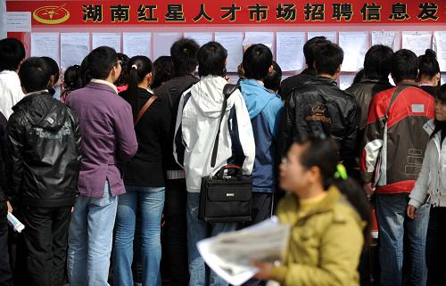 3月14日,求職者在查看職位信息。新華社記者李尕 攝