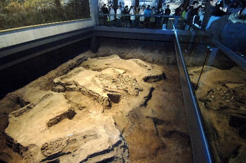 12月10日,參觀者在侵華日軍南京大屠殺遇難同胞紀(jì)念館新館內(nèi)觀看“遺骸遺址”。當(dāng)日,侵華日軍南京大屠殺遇難同胞紀(jì)念館展出了新發(fā)現(xiàn)的一批遇難者遺骸。這批遇難者遺骸是2006年4月在紀(jì)念館新展廳施工時(shí)發(fā)現(xiàn)的。目前,新發(fā)現(xiàn)的遇難同胞“遺骸遺址”在新展廳中原址、原貌保存并展出。新華社記者 韓瑜慶攝