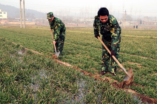 2月4日,民兵預備役人員在博愛縣月山鎮(zhèn)后喬村幫助農(nóng)民澆灌麥田。新華社發(fā)(楊帆 攝)