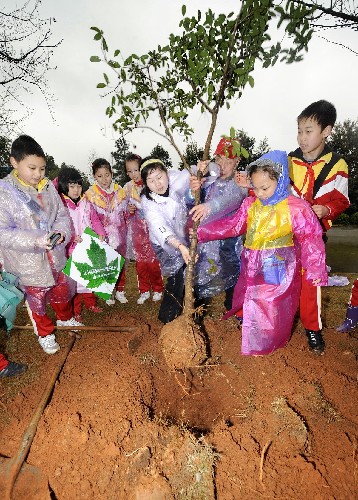 3月12日,小學(xué)生們在湖南省森林植物園參加義務(wù)植樹。新華社記者 龍弘濤 攝