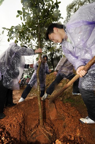 3月12日,長沙市民冒雨在湖南省森林植物園義務(wù)植樹。新華社記者 龍弘濤 攝