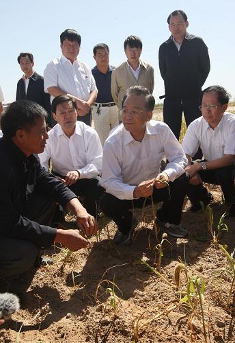 近日,中共中央政治局常委、國務(wù)院總理溫家寶在內(nèi)蒙古檢查指導(dǎo)抗旱減災(zāi)工作。這是8月28日溫家寶來到赤峰市敖漢旗雙平村一塊因旱災(zāi)絕收的農(nóng)田,仔細(xì)向村民詢問災(zāi)情,了解村民生產(chǎn)生活用水情況。 新華社記者劉衛(wèi)兵攝