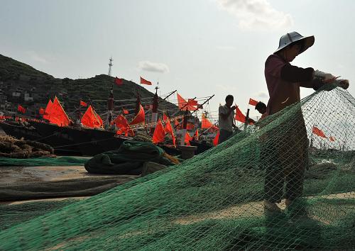 9月13日,浙江舟山市嵊泗縣黃龍鄉(xiāng)南港碼頭泊滿了漁船,漁嫂們在岸邊織補漁網(wǎng)。新華社發(fā)(吳琳紅 攝)