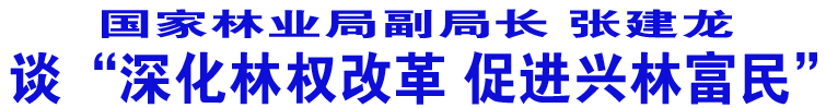 林業(yè)局訪談