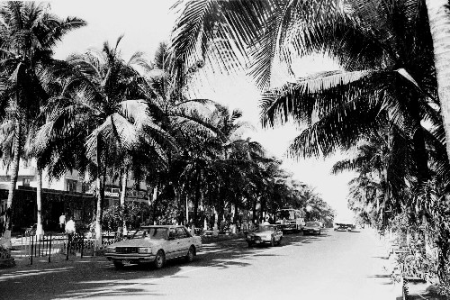 這是1988年12月26日拍攝的海南省海口市海府路一景。 新華社記者 姜恩宇 攝