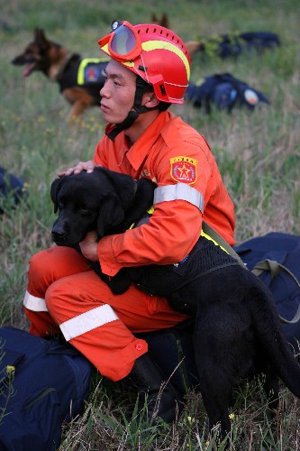 5月12日,國(guó)家地震救援隊(duì)一名隊(duì)員和他的搜救犬在北京南苑機(jī)場(chǎng)準(zhǔn)備出發(fā)。 當(dāng)日,四川汶川發(fā)生7.8級(jí)地震后,國(guó)家地震救援隊(duì)立即整裝,趕往四川進(jìn)行救援。 新華社記者 李明放 攝