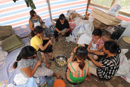 6月4日,在都江堰市聚源鎮(zhèn)的河北省唐山市援建安置房建設(shè)工地的廚房里,聚源鎮(zhèn)當(dāng)?shù)氐囊恍D女在幫助削土豆皮。為了感謝遠(yuǎn)道前來幫助災(zāi)區(qū)人民的建筑工人們,當(dāng)?shù)匾恍D女自發(fā)來到工地的廚房義務(wù)幫廚,為援建人員幫把手。 新華社記者 武巍 攝