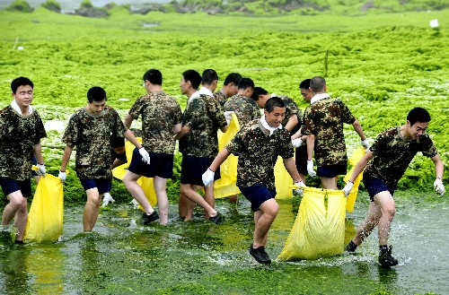 7月2日,北海艦隊官兵正冒雨在第六海水浴場附近清理滸苔。 自青島近海海域滸苔聚集災害爆發(fā)以來,各駐青部隊每天有超過5000多名官兵,近200臺運輸車輛,采取“機械作業(yè)與人工打撈相結合,海域清理與陸上清運相結合”的方式,已累計打撈滸苔超過18萬噸。 新華社記者 李紫恒 攝