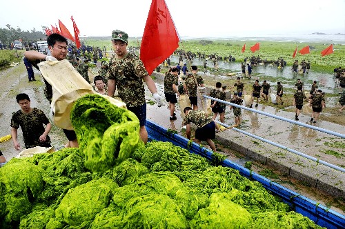 7月2日,戰(zhàn)士們正將打撈上岸的滸苔裝車。 新華社記者 李紫恒 攝