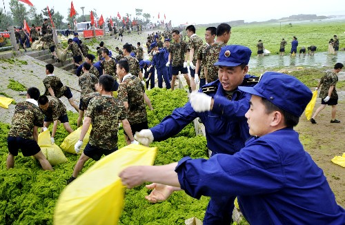7月2日,北海艦隊官兵正在清運打撈上岸的滸苔。 新華社記者 李紫恒 攝