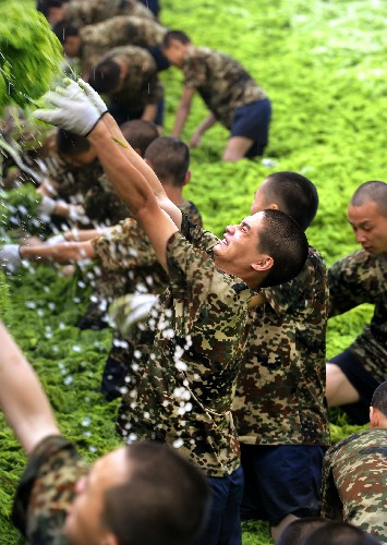 7月2日,戰(zhàn)士們正在打撈滸苔。 新華社記者 李紫恒 攝
