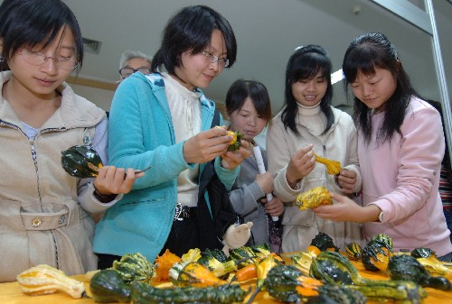 11月5日,參觀者在新竹市青果商業(yè)同業(yè)公會(huì)展臺(tái)前觀看被稱為“丑小鴨”的玩具南瓜。 當(dāng)日,第十五屆中國(guó)楊凌農(nóng)業(yè)高新科技成果博覽會(huì)在陜西楊凌開(kāi)幕,臺(tái)灣新竹市青果商業(yè)同業(yè)公會(huì)首次參展,帶來(lái)了10種產(chǎn)自臺(tái)灣的特色瓜果進(jìn)行展銷。 新華社記者陳鋼攝