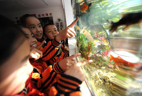 12月16日,東勝區(qū)萬佳小學(xué)二年級六班的孩子們在課間觀賞他們喂養(yǎng)的小魚。2006年以來,內(nèi)蒙古鄂爾多斯市東勝區(qū)累計(jì)投入資金近23億元,共新建、改擴(kuò)建學(xué)校21所,全建制接收3所高起點(diǎn)、成規(guī)模的民辦學(xué)校,新增校舍面積30多萬平方米,并在全區(qū)范圍內(nèi)合理配置教育資源,全面取消借讀費(fèi)等多項(xiàng)不合理收費(fèi),使進(jìn)城務(wù)工人員子女和農(nóng)村孩子進(jìn)城上學(xué)難、班容量大、城鄉(xiāng)教育差距大的問題得到了有效緩解,力求讓所有適齡孩子都能在良好的環(huán)境中學(xué)習(xí)、生活。新華社記者 任軍川 攝