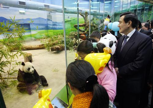 1月24日19時(shí)20分,在臺(tái)北市立動(dòng)物園舉辦的“新光特展館捐贈(zèng)暨關(guān)懷弱勢之夜”活動(dòng)上,大熊貓“團(tuán)團(tuán)”“圓圓”首次公開亮相,與臺(tái)灣民眾見面。500名來自孤兒院或家境清貧的小朋友成為第一批觀眾。 這是臺(tái)灣當(dāng)局領(lǐng)導(dǎo)人馬英九與小朋友們一起觀看大熊貓。新華社發(fā)