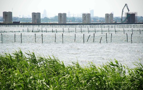 4月26日拍攝的京滬高鐵丹昆特大橋陽澄湖橋段橋墩群與陽澄湖大閘蟹圍網(wǎng)。 新華社發(fā)