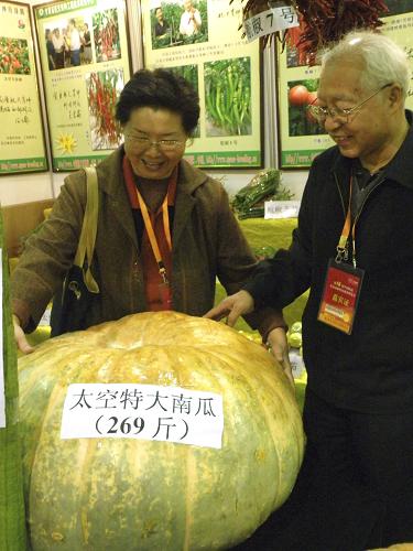 11月1日,兩名參觀者在農(nóng)高會上觀看重達(dá)134.5公斤的“太空南瓜”。當(dāng)日,為期5天的第十六屆中國楊凌農(nóng)業(yè)高新科技成果博覽會在陜西楊凌示范區(qū)開幕,共有5000余項農(nóng)業(yè)技術(shù)成果和項目在此次展會上亮相。新華社發(fā)(王振 攝)