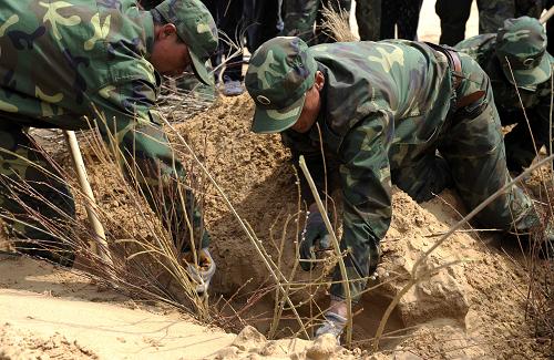 幾名解放軍官兵正在內(nèi)蒙古渾善達(dá)克沙地種樹(shù)(攝于2009年5月)。新華社記者 張領(lǐng) 攝
